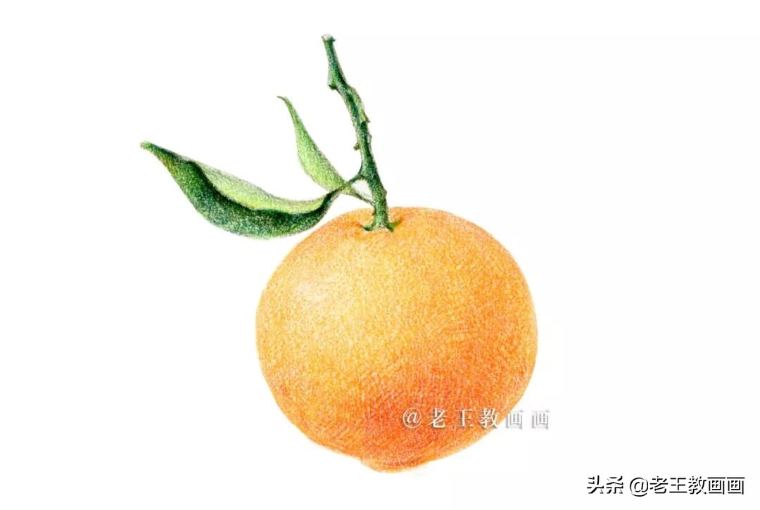 橘子彩铅手绘过程详解,超详细的彩铅橘子教程
