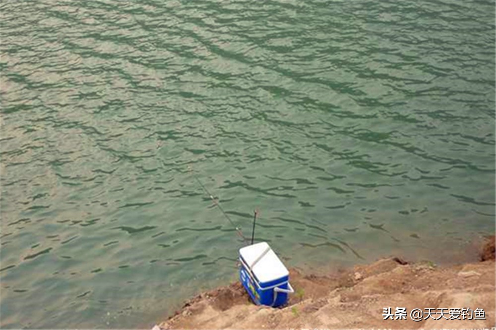 野钓在鱼很少的地方需要打窝吗,野钓怎么寻找鱼窝位置