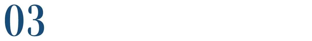 宠物产品商标怎么定性,最新宠物品牌侵权纠纷