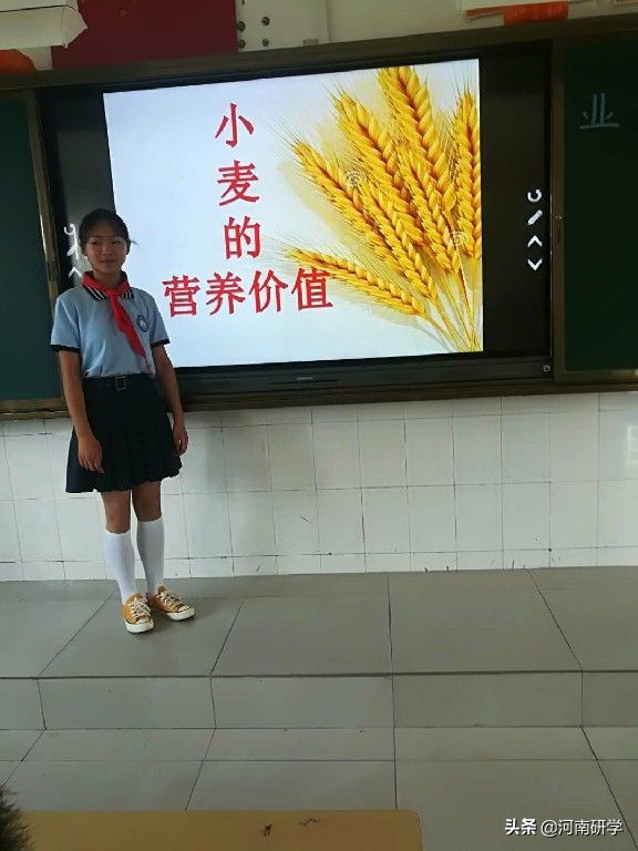 农耕科技研学旅行基地课程设计,农耕文化研学活动方案