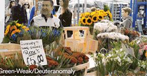 色盲不能开车影响生活吗,色盲不能开车还是色弱不能开车