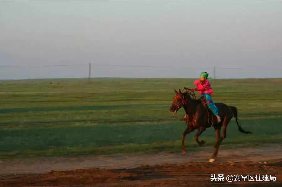 在内蒙古家里没几匹马和骆驼都不能愉快地玩耍了！