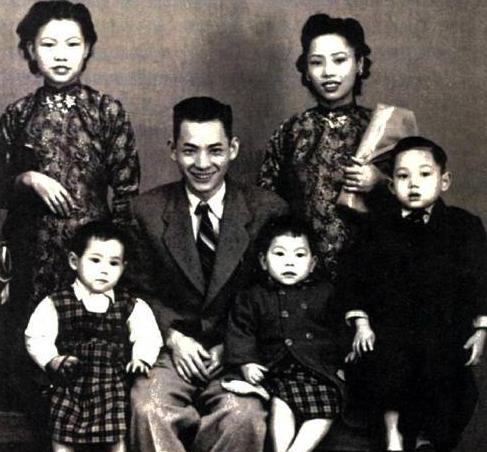 杨受成与明星关系,杨受成成长历程