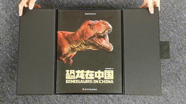 适合孩子看的恐龙科普书,适合5岁孩子看的恐龙科普书