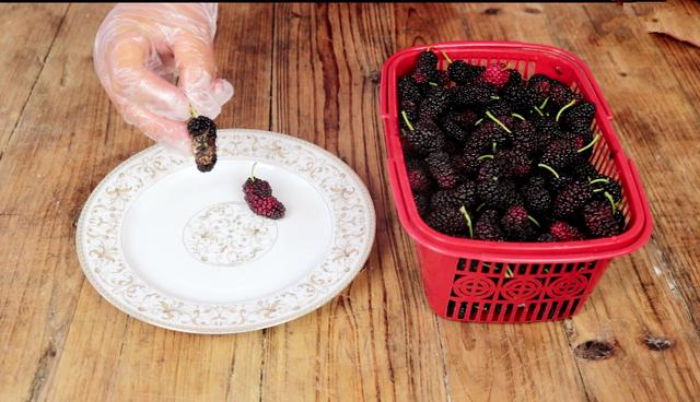 桑葚泡酒的正宗做法大全,桑葚泡酒的简单做法