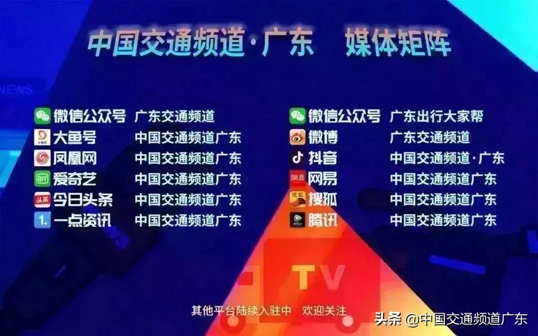 猪兼强驾校处理结果,猪兼强驾校最新消息