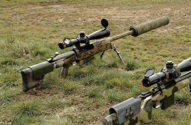 电磁狙击枪威力有多大,狙击枪有几种