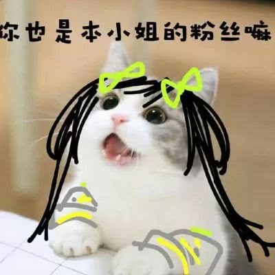 车票抵税是多少钱,车票可以抵税不