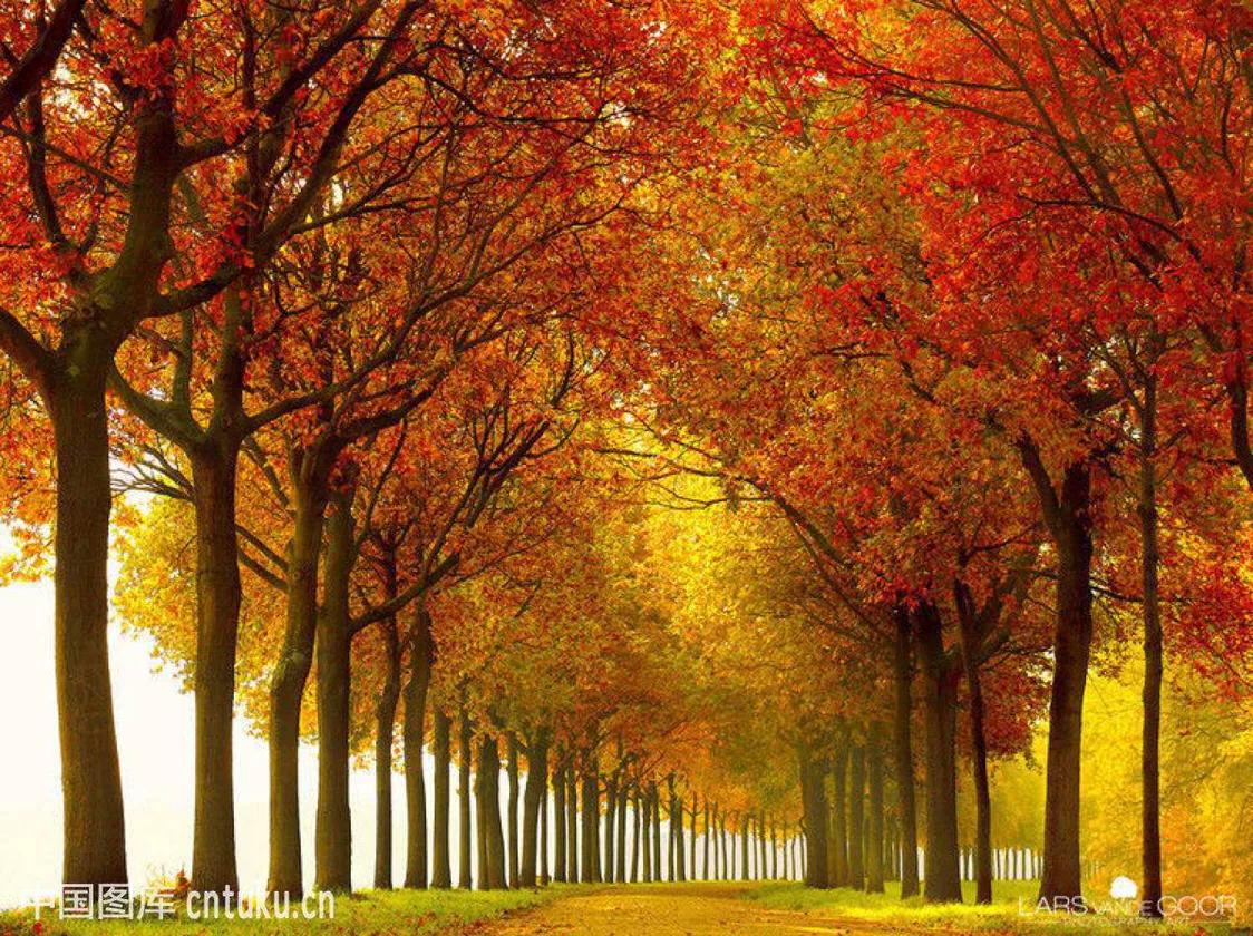 肝功能检查只有总胆汁酸偏高,肝功能总胆汁酸高的原因是什么