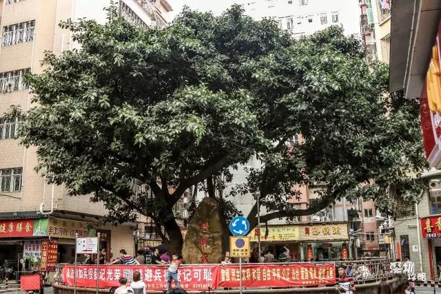 深圳笋岗老字号,深圳破旧的老屋