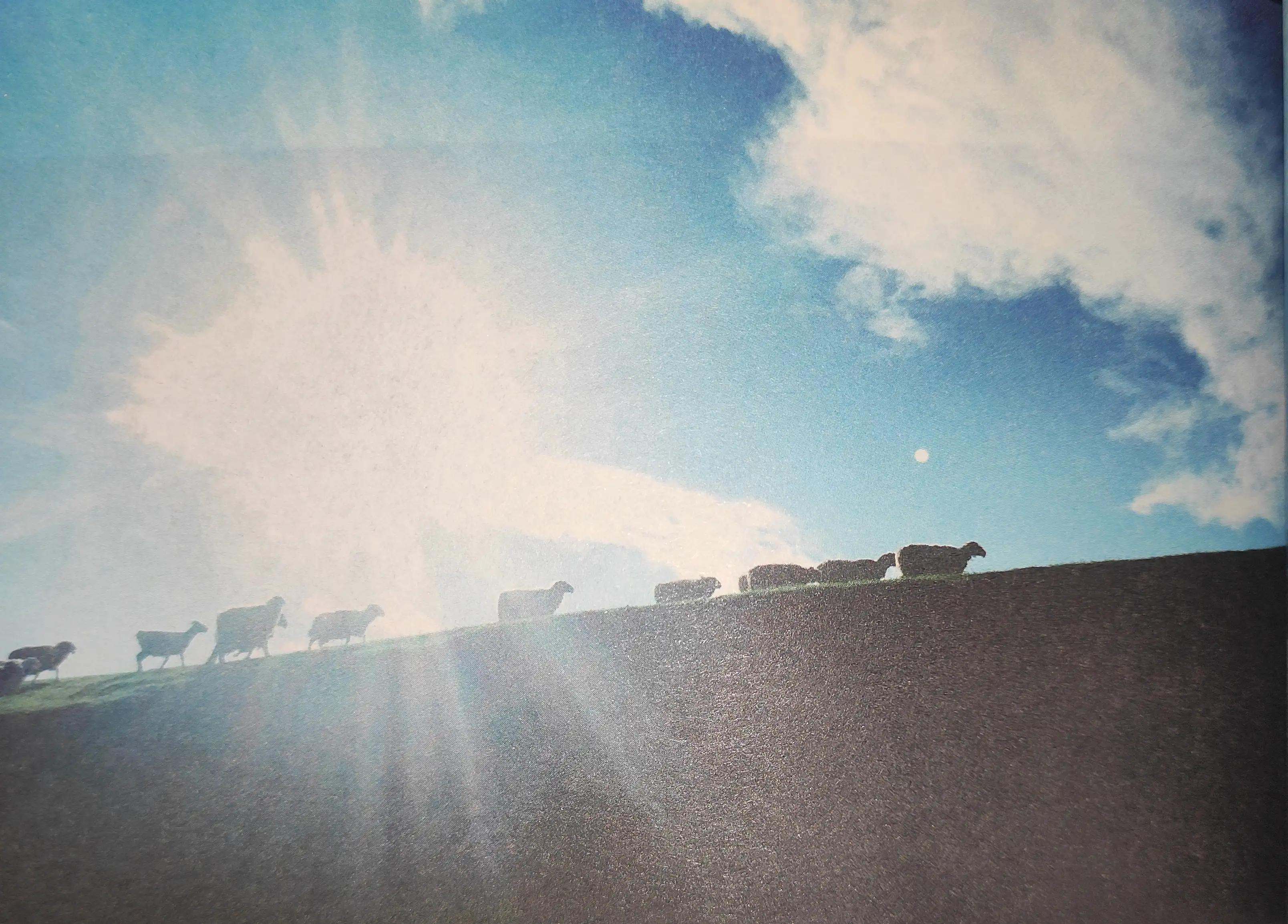 大冰的小屋和大冰什么关系,探访大冰的小屋