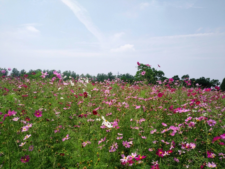 我们一生要面对无数次分别，你最想与哪个TA好好道别？