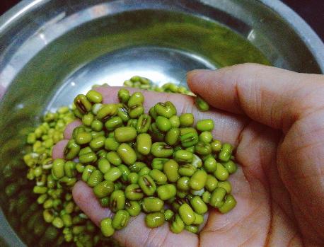 滋补养生喝绿豆粥好夏天,秋天喝山药绿豆粥好吗