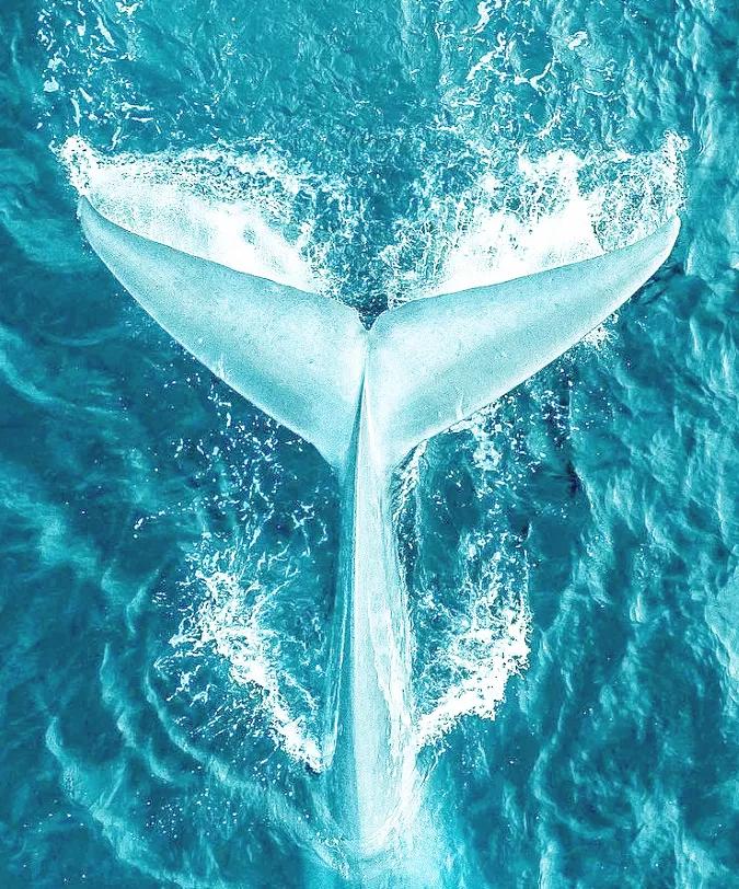 裸睡舒适柔软凉席,凉席冰丝席夏天专用可裸睡加厚