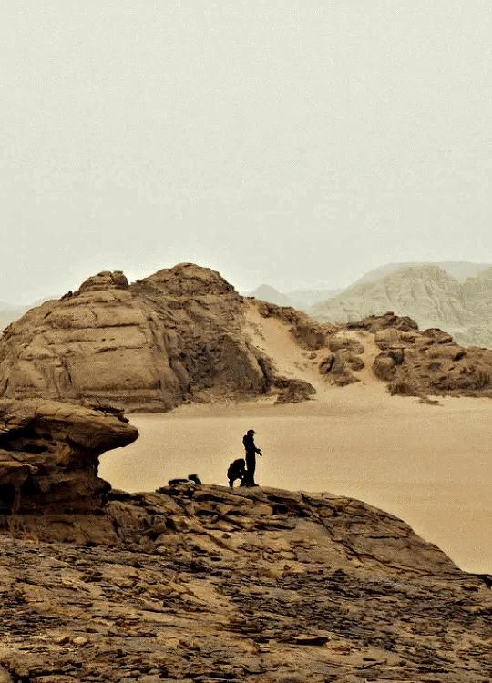 沙漠高级感走秀,沙漠走秀