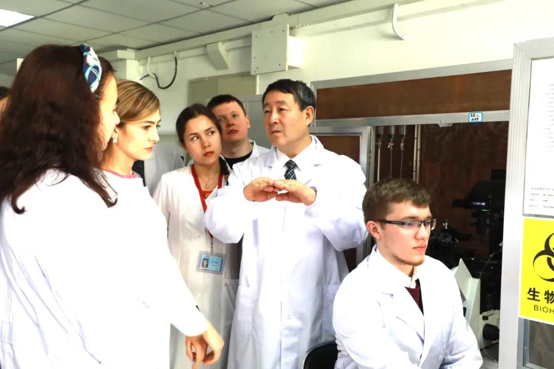 有效降血脂预防心血管疾病的食物,杨宝峰院士讲灵芝