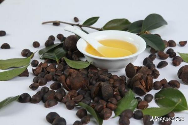 各种食用油的营养价值及图表,各种食用油的营养价值排行榜