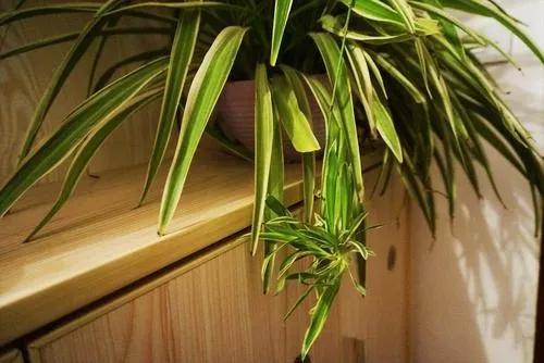 宜家不合格儿童用品,宜家回应儿童家具合格吗