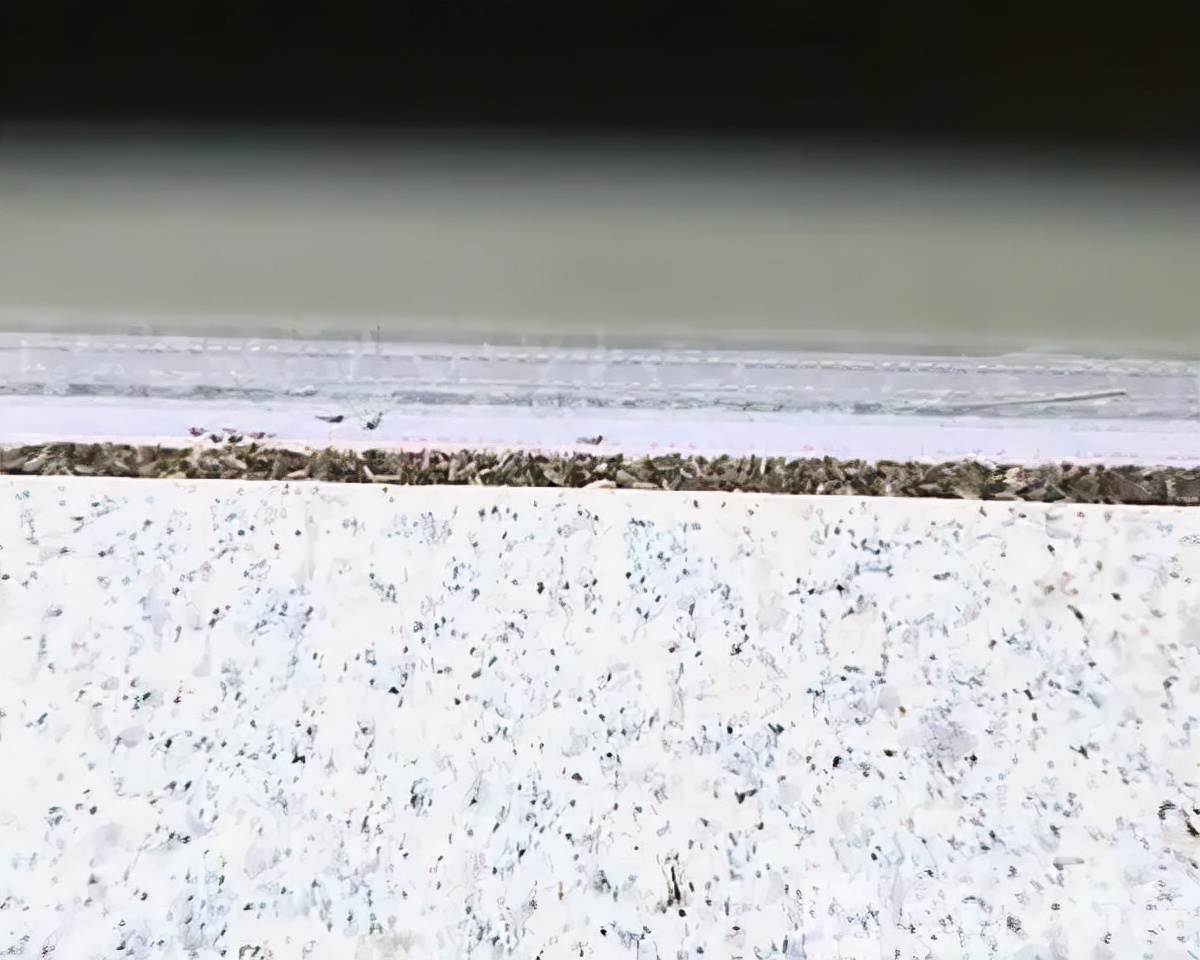 天冷了！成群小虫入室蹭暖气…