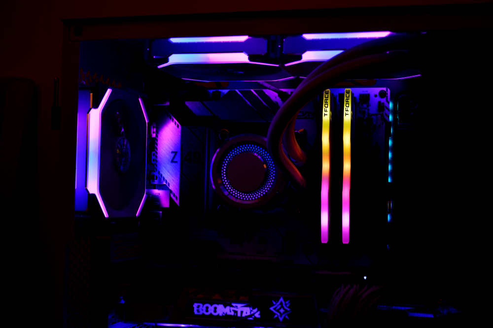 黑色星期五变装,黑色星期五变装hd版