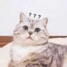 从逃学被嫌弃到和周杰伦演出,所有的“坏孩子”都缺一个好老师