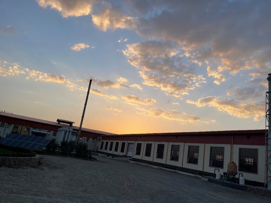 阿富汗ICU住进中国商人：陪护穿防弹衣擦AK，10块雇一个保镖