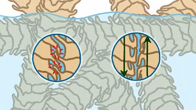 100%绵羊毛羊毛衫怎么清洗防缩水,纯绵羊羊毛衫洗后缩水多少公分