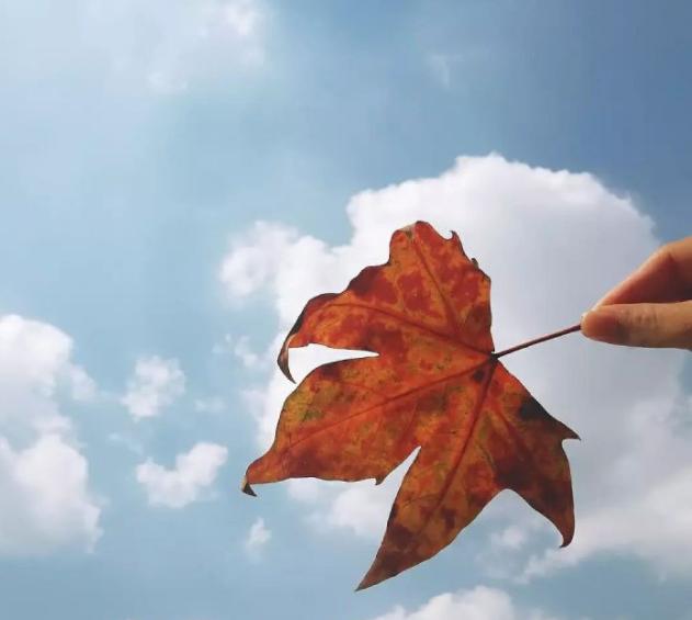 人活在世上的理由,活在世上的理由