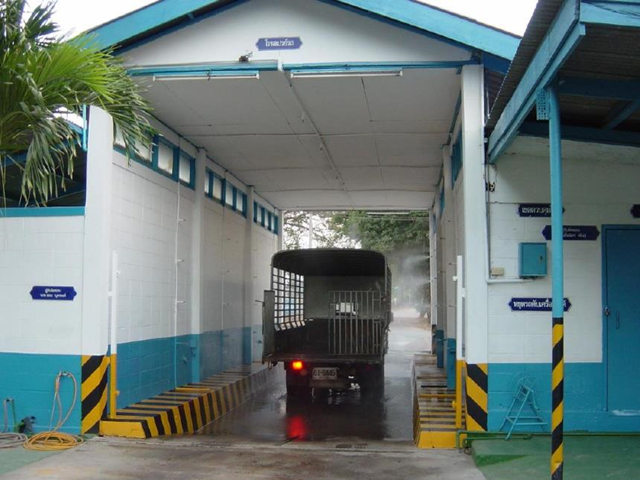 新建养猪场在什么地方,新建猪场怎么规划区域