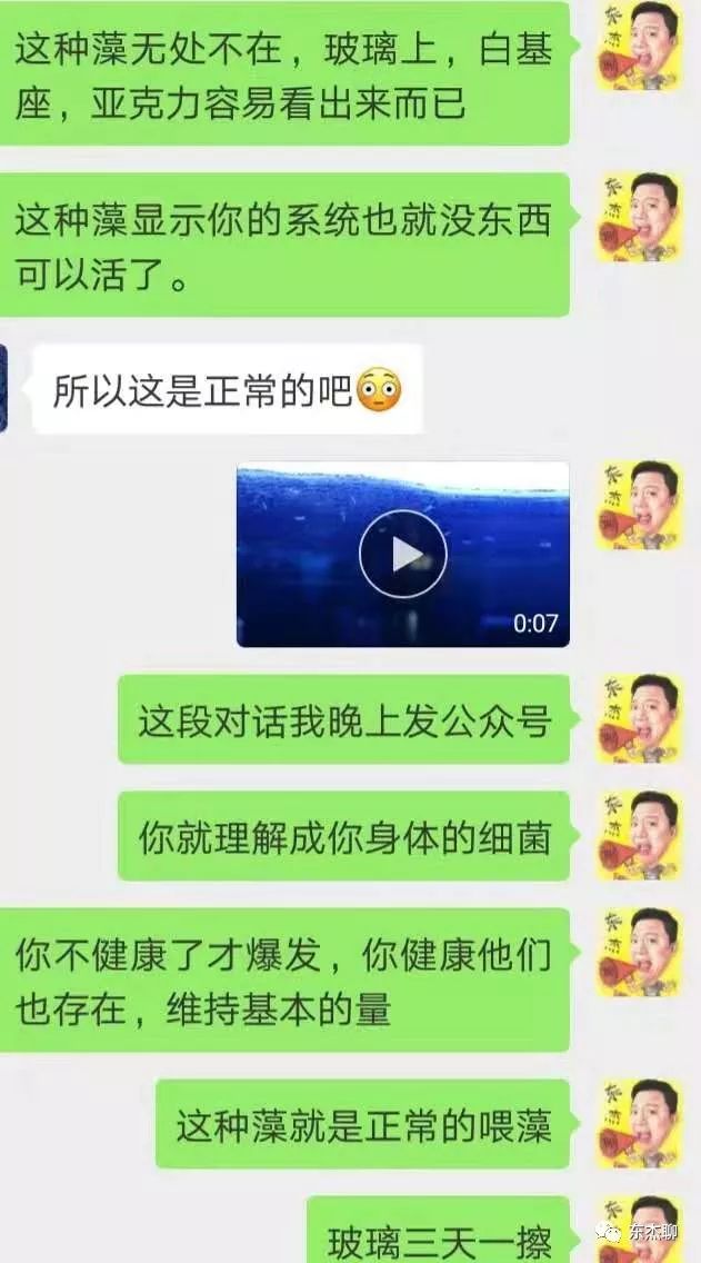 海水鱼缸除藻,海水鱼缸的开缸及爆藻步骤