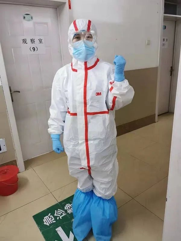 美丽迎春花开了,迎春花盛开的绝美春日盛景