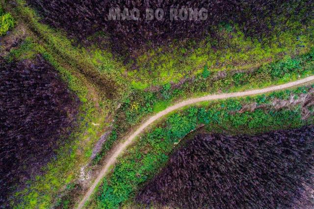 太老实被别人牵着鼻子走怎么办,做人太老实就会被人牵着鼻子走