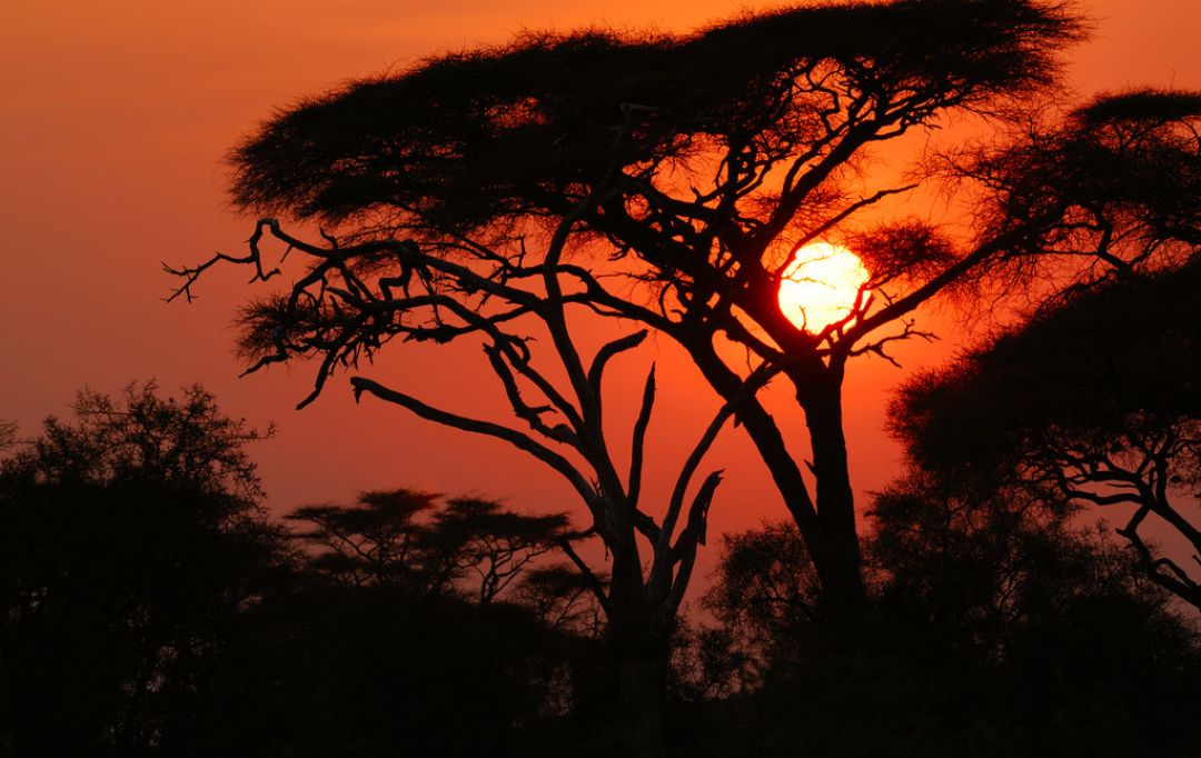 焦虑症为什么总是胡思乱想不敢做,焦虑症5年了每天都各种难受要死
