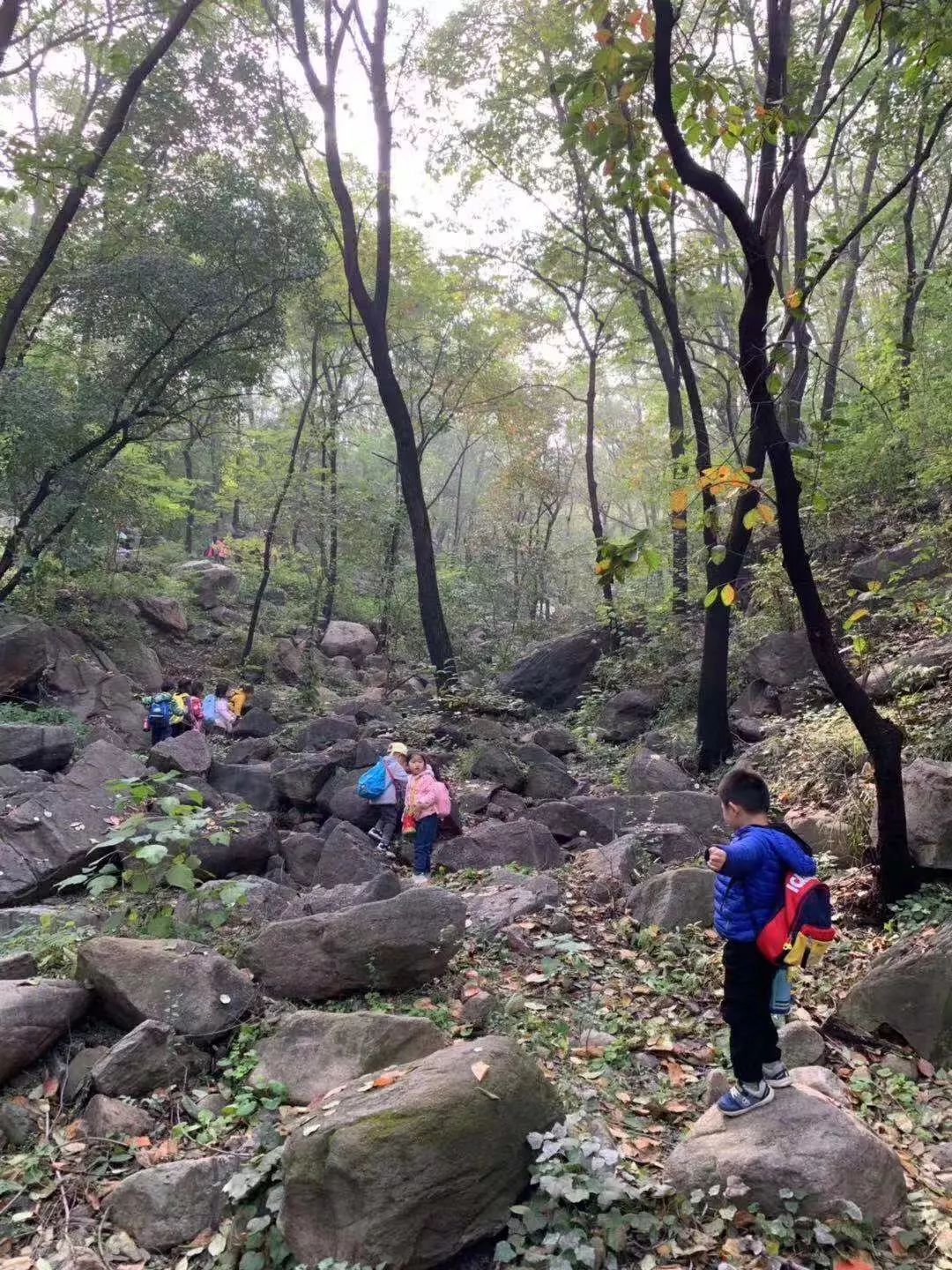 你知道吗？石家庄还藏着这样的幼儿园丨坤宁说房