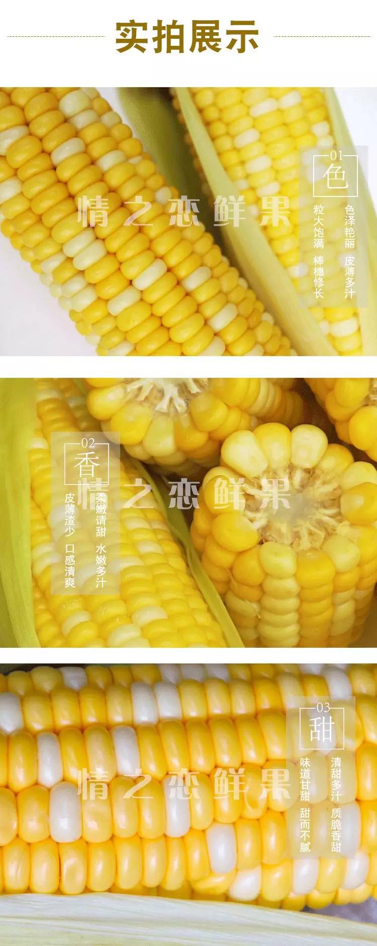 水果玉米生吃,可以生吃的爆浆水果玉米鲜甜脆嫩