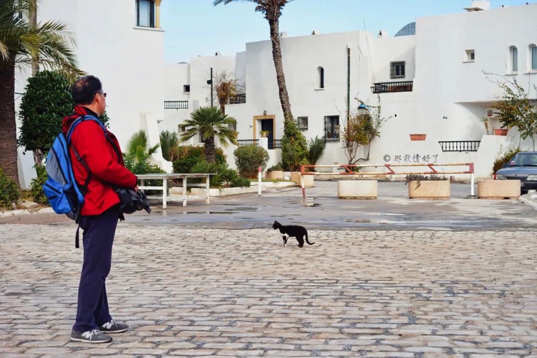 古代突尼斯城的港口,古老的地中海