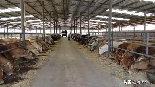 再穷也别碰这四种生意,农村不建议做的三种生意