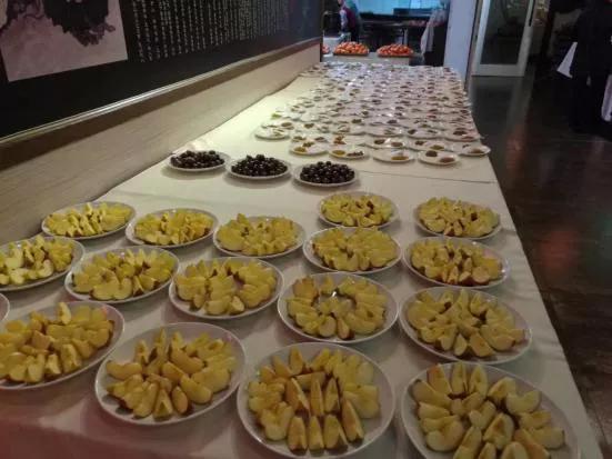 让农业真正回归照顾生命