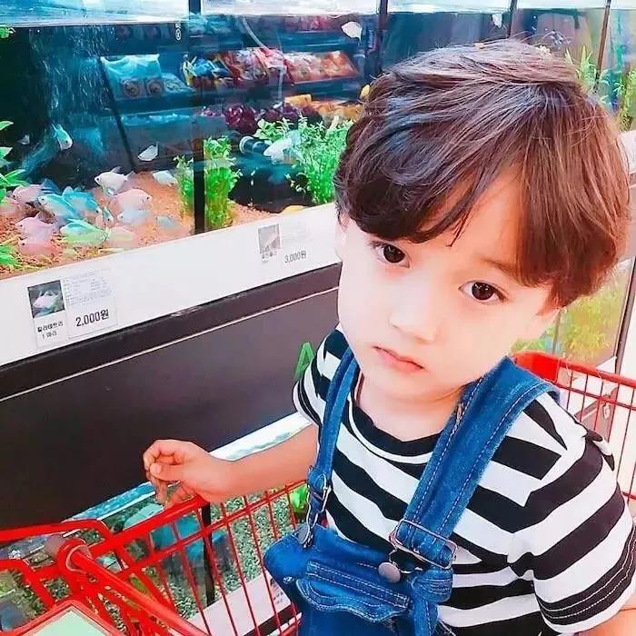 属鸡杨氏名字大全男孩,杨氏名字男孩