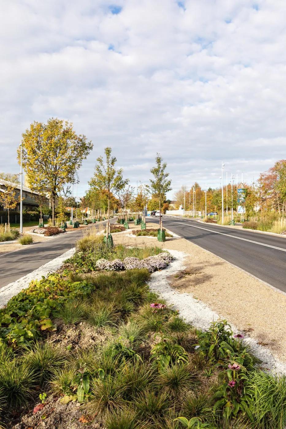 道路设计效果图,个性路面设计