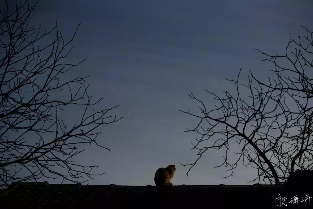 怎样算曝光准确,什么算正确的曝光