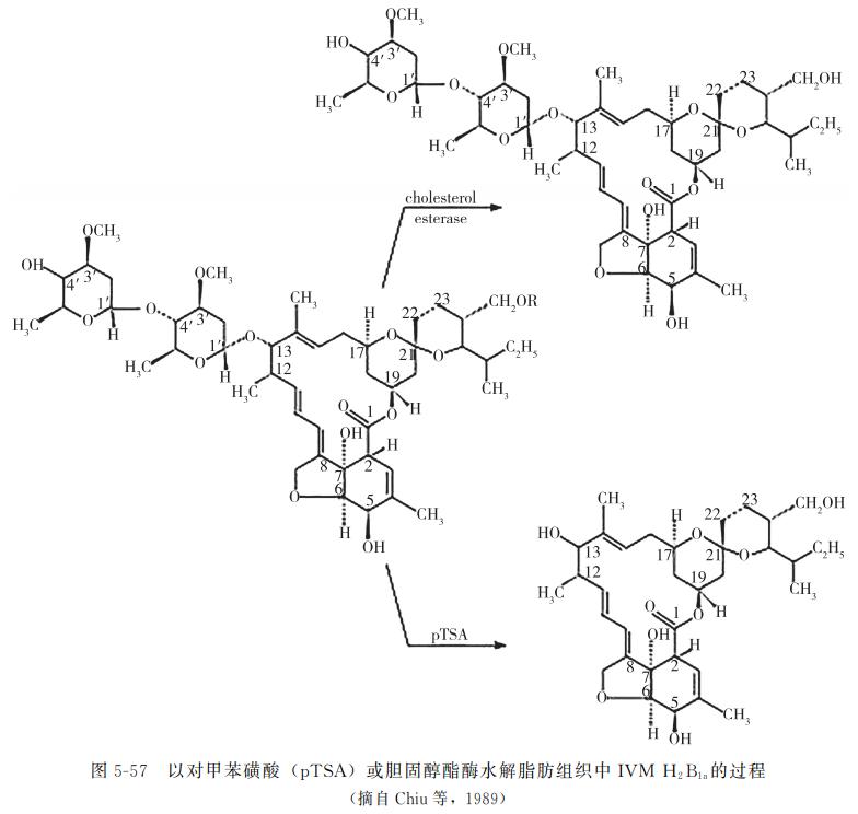 动物源性食品检测,动物源性成分检测