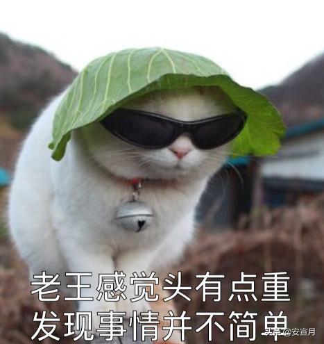 父亲带双胞胎做亲子鉴定结果,一对双胞胎亲子鉴定师