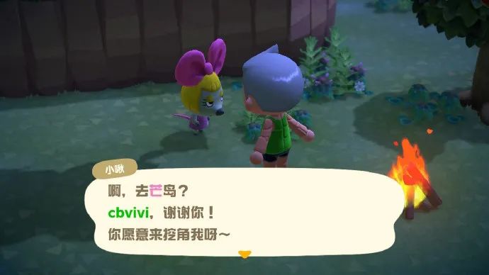 动森两个人玩,动森多大年纪的人在玩