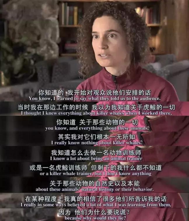 难得一见海洋动物表演,看不完的海洋动物和表演