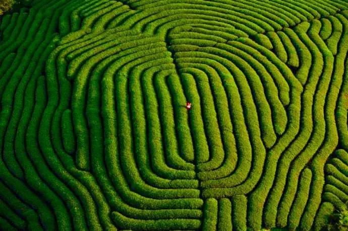 武夷山亲子民宿推荐独栋别墅,武夷山一同山居茶文化民宿