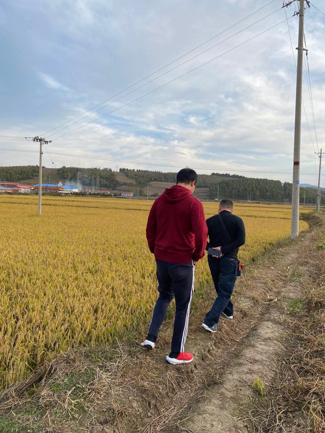 秋收诗词100首,秋收诗