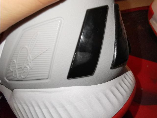 罗斯玫瑰战靴,玫瑰十年