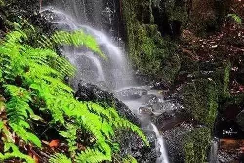 昆明周边适合露营的森林,昆明附近露营风景好