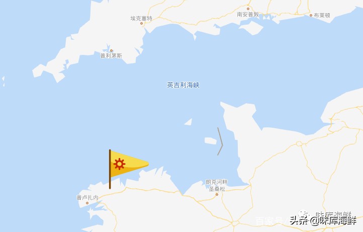 你见过大龙虾吗,你见过像铁球一样的鱼吗